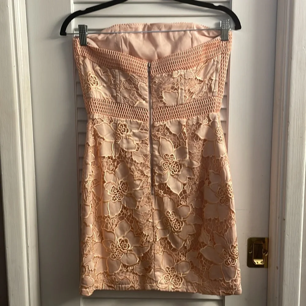 NWT Lovers + Friends Early Piece-Pink/Peach Stunning Embroidered Overlay Dress - Picture 7 of 9